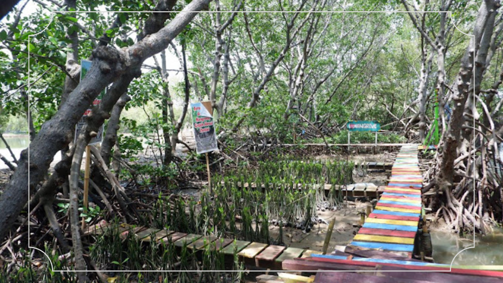 Hutan Mangrove Tapak