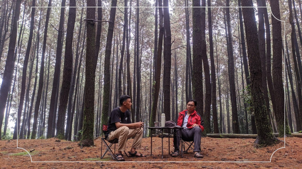 Hutan Pinus Batu Nyongclo