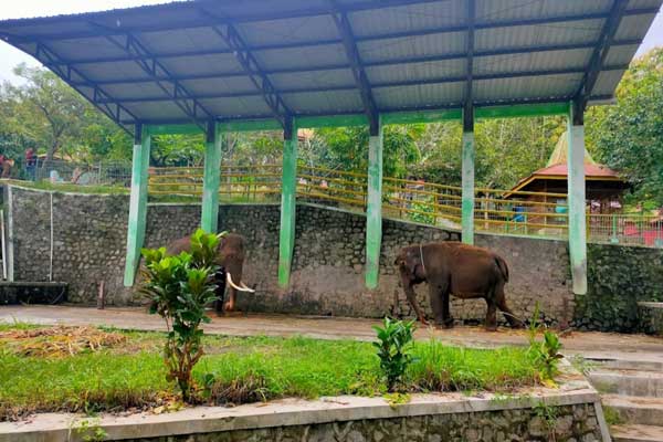 fasilitas waduk gajah mungkur